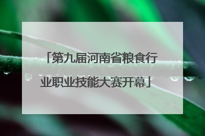 第九届河南省粮食行业职业技能大赛开幕