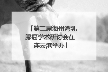 第二届海州湾乳腺癌学术研讨会在连云港举办