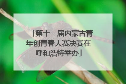 第十一届内蒙古青年创青春大赛决赛在呼和浩特举办