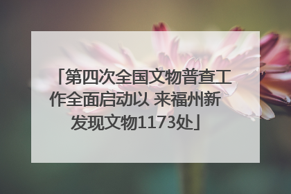 第四次全国文物普查工作全面启动以 来福州新发现文物1173处