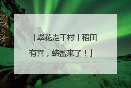 翠花走千村丨稻田有喜，螃蟹来了！