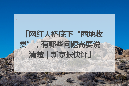 网红大桥底下“圈地收费”，有哪些问题需要说清楚｜新京报快评