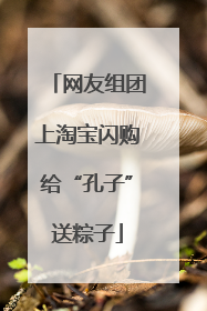 网友组团上淘宝闪购给“孔子”送粽子