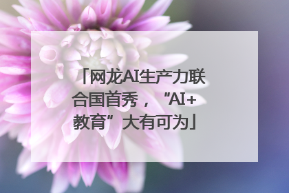 网龙AI生产力联合国首秀，“AI+教育”大有可为
