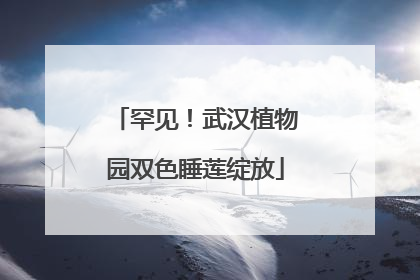 罕见！武汉植物园双色睡莲绽放