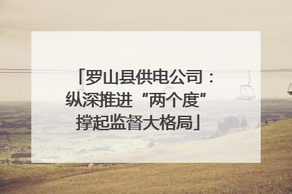 罗山县供电公司：纵深推进“两个度” 撑起监督大格局