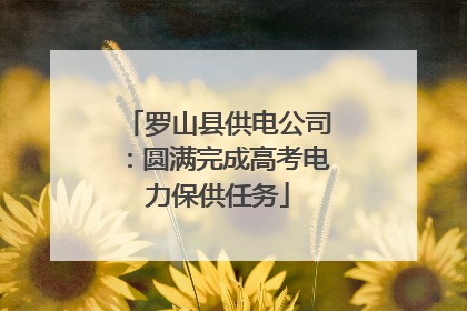罗山县供电公司：圆满完成高考电力保供任务