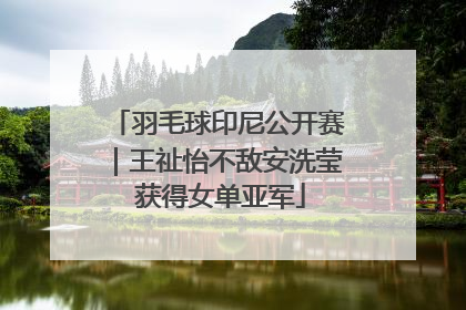羽毛球印尼公开赛｜王祉怡不敌安洗莹 获得女单亚军