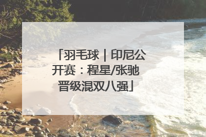 羽毛球｜印尼公开赛：程星/张驰晋级混双八强