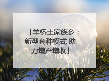 羊桥土家族乡：新型套种模式 助力增产增收