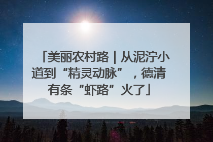 美丽农村路｜从泥泞小道到“精灵动脉”，德清有条“虾路”火了