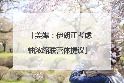 美媒：伊朗正考虑铀浓缩联营体提议