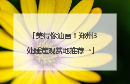 美得像油画！郑州3处睡莲观赏地推荐→
