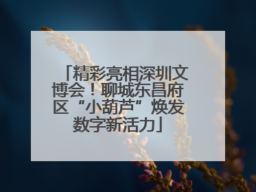 精彩亮相深圳文博会！聊城东昌府区“小葫芦”焕发数字新活力