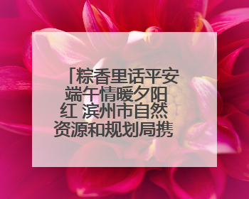 粽香里话平安 端午情暖夕阳红 滨州市自然资源和规划局携手平安保险开展端午主题活动