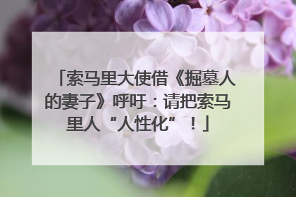 索马里大使借《掘墓人的妻子》呼吁：请把索马里人“人性化”！