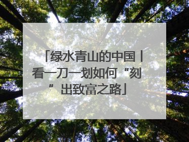 绿水青山的中国丨看一刀一划如何“刻”出致富之路