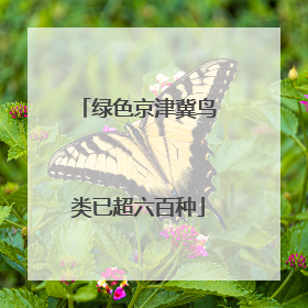 绿色京津冀鸟类已超六百种