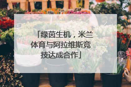 绿茵生机，米兰体育与阿拉维斯竞技达成合作