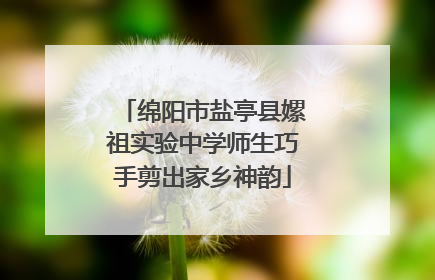 绵阳市盐亭县嫘祖实验中学师生巧手剪出家乡神韵