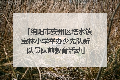 绵阳市安州区塔水镇宝林小学举办少先队新队员队前教育活动