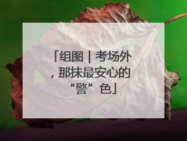 组图｜考场外，那抹最安心的“警”色