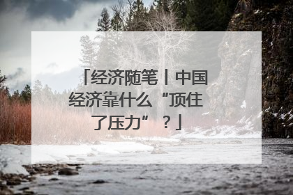 经济随笔丨中国经济靠什么“顶住了压力”？
