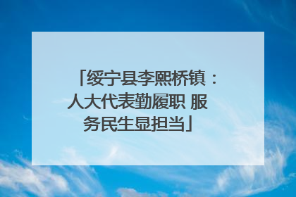 绥宁县李熙桥镇：人大代表勤履职 服务民生显担当