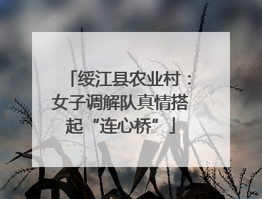绥江县农业村：女子调解队真情搭起“连心桥”