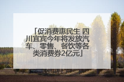 促消费惠民生 四川宜宾今年将发放汽车、零售、餐饮等各类消费券2亿元