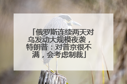 俄罗斯连续两天对乌发动大规模夜袭，特朗普：对普京很不满，会考虑制裁
