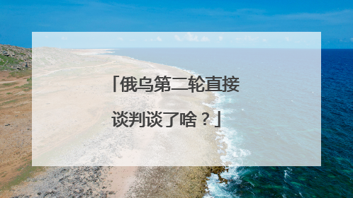 俄乌第二轮直接谈判谈了啥？