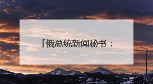 俄总统新闻秘书：待乌克兰回应备忘录草案 俄美乌领导人近期会晤可能性小