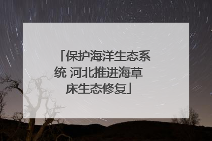 保护海洋生态系统 河北推进海草床生态修复