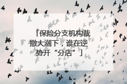 保险分支机构裁撤大潮下，谁在逆势开“分店”