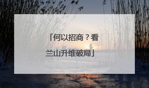 何以招商？看兰山升维破局