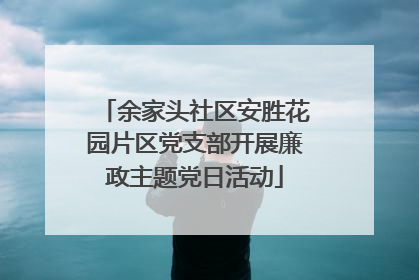 余家头社区安胜花园片区党支部开展廉政主题党日活动