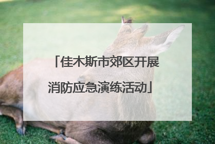 佳木斯市郊区开展消防应急演练活动