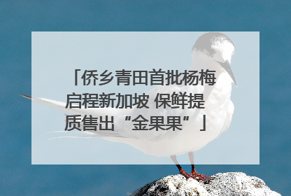 侨乡青田首批杨梅启程新加坡 保鲜提质售出“金果果”