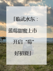 临武水东：蓝莓甜蜜上市 开启“莓”好初夏