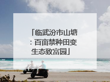 临武汾市山塘：百亩禁种田变生态致富园