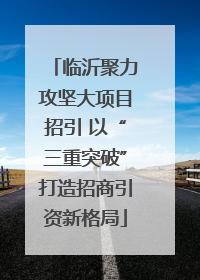 临沂聚力攻坚大项目招引 以“三重突破”打造招商引资新格局
