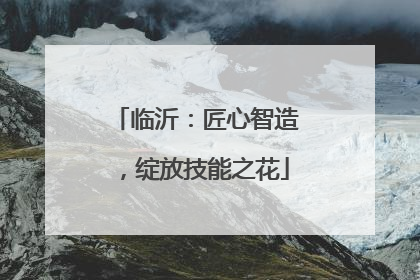 临沂：匠心智造，绽放技能之花
