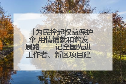 为民撑起权益保护伞 用情铺就和谐发展路——记全国先进工作者、新区项目建设中心干部卢小勇