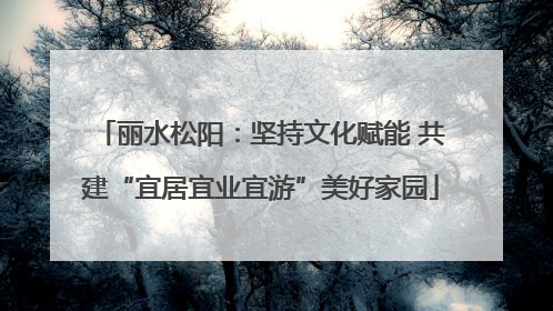 丽水松阳：坚持文化赋能 共建“宜居宜业宜游”美好家园