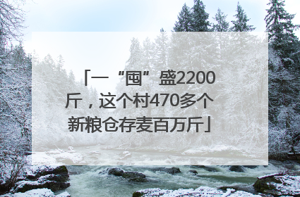 一“囤”盛2200斤，这个村470多个新粮仓存麦百万斤