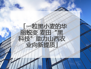 一粒黑小麦的华丽蜕变 麦田“黑科技”助力山西农业向新提质