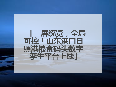 一屏统览，全局可控！山东港口日照港粮食码头数字孪生平台上线