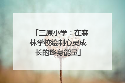 三原小学：在森林学校绘制心灵成长的终身能量