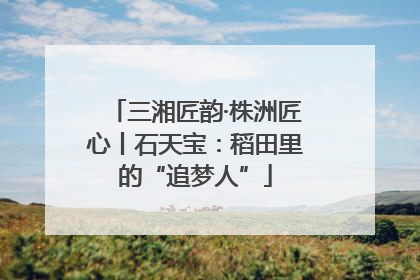 三湘匠韵·株洲匠心丨石天宝：稻田里的“追梦人”